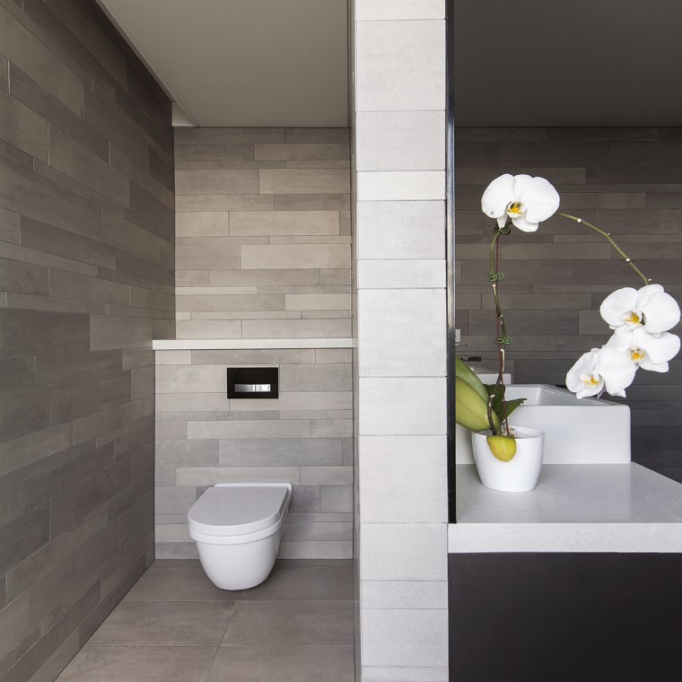 Sigma50 Flush Button (© Adam Powell) Sigma50 Flush Button (© Adam Powell)