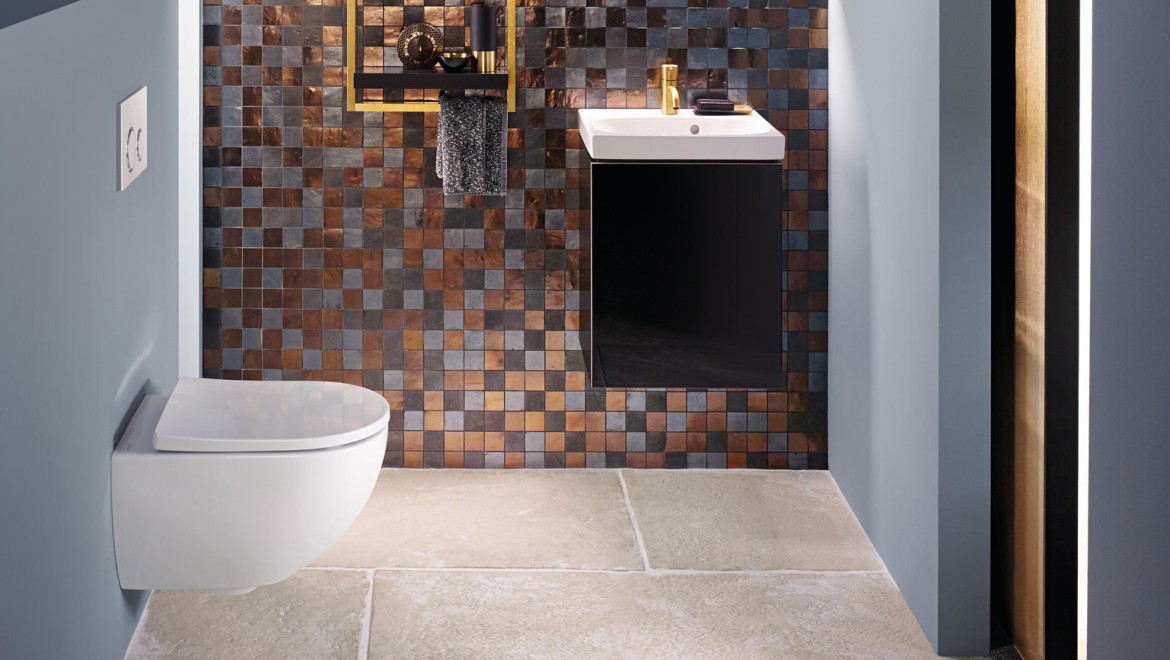 Wall-hung toilet for harmonious bathroom design