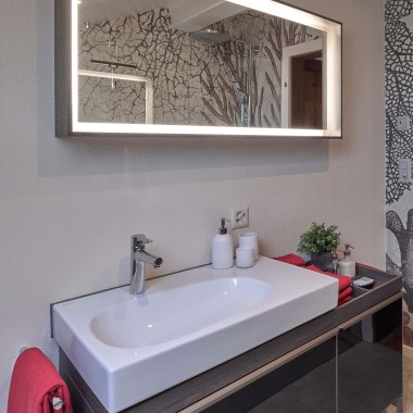 Mirror cabinet, washbasin and bathroom furniture