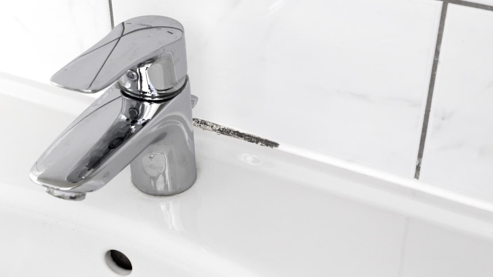 Mould in bathroom grout lines Mould in bathroom grout lines